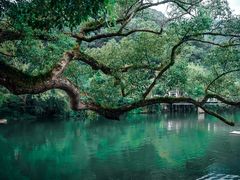 -上坦村