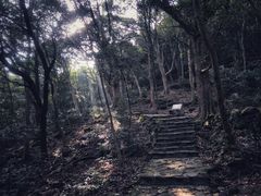 -清溪森林公园