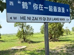 -盐城丹顶鹤湿地生态旅游区