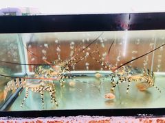 -QQ海鲜餐厅
