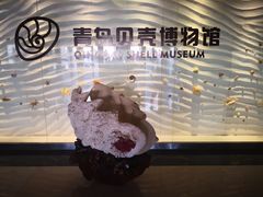 -青岛贝壳博物馆