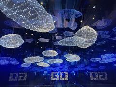 -盒马X会员店(上海森兰商都店)