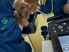 -瑞派康怡24h宠物医院·犬猫医疗中心·微创绝育(瑞景分院)