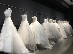 -Vera Wang婚纱礼服旗舰店