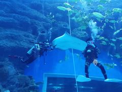 -成都浩海立方海洋公园