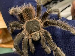 -藦茜花园宠物主题亲子互动体验馆(国顺东路店)