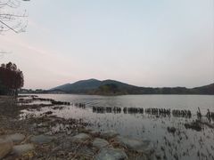 -长广溪湿地公园