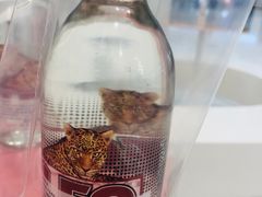 -Fruwich果明治(西单更新场店)