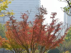 -东方体育中心(地铁站)