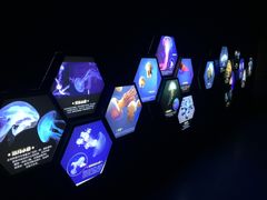 -梦幻海洋王国(吾悦广场张家港店)