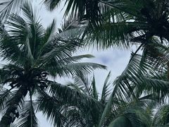 -中国第一滩