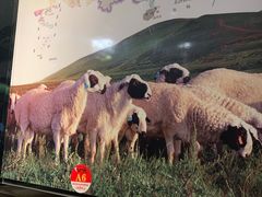 -老卜奎齐齐哈尔烤肉(人民东路店)