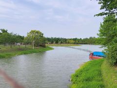 -上海海湾国家森林公园