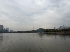 -月湖风景区
