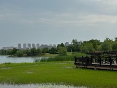 -九龙湖公园
