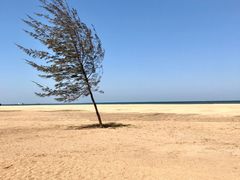 -白沙门生态公园