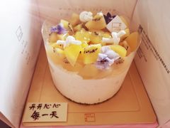 阳光奇异果奶油蛋糕-福气鲜活面包·生日蛋糕