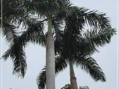 -广州市白云山风景名胜区