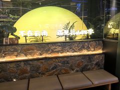 -芸山季·云南山珍菌火锅(南翔印象城MEGA店)