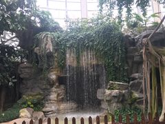 -北京植物园-展览温室