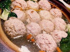 -丁老爷子苏香圆