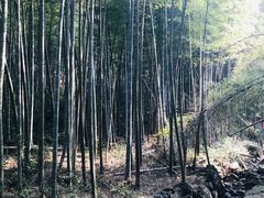 -会稽山峡洞漂流-上青古道
