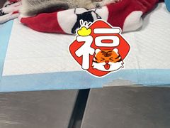 -派联宠物医院·24h·CT·异宠