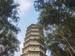 -深圳国际园林花卉博览园