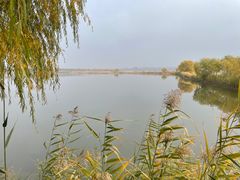 -野鸭湖国家湿地公园