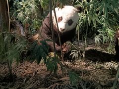 -天津自然博物馆