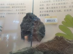 -河南自然博物馆