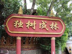 -瑞丽独树成林风景区