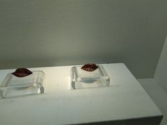 -杭州工艺美术博物馆