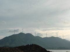 -盐洲岛