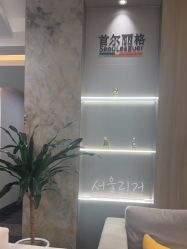 -上海首尔丽格医疗美容医院