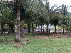 -白沙门生态公园