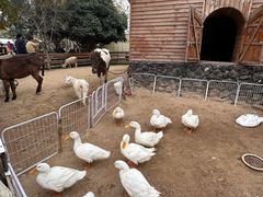 -HERRE·FARM 赫尔露营农场·团建聚会包场