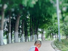 -阳澄湖费尔蒙酒店