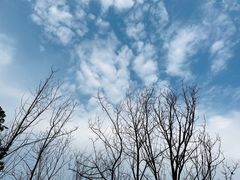 -重庆彩云湖湿地公园