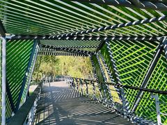 -西湖风景区-江洋畈生态公园