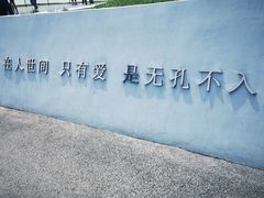 -荷兰花海