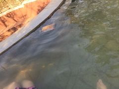 -深业半汤御泉庄温泉