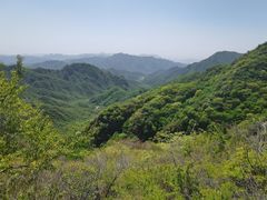 -大岭沟猕猴桃谷风景区
