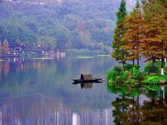 -重庆彩云湖湿地公园