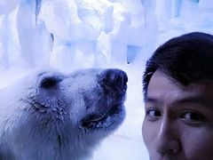 -芜湖新华联大白鲸海洋公园