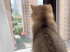 -小四川美食馆(幸福路店)