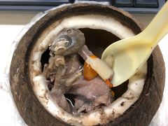 原只椰子炖鹌鹑-達揚原味燉品(文明路店)