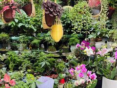 -青石桥花鸟鱼虫市场(叠翠城店)