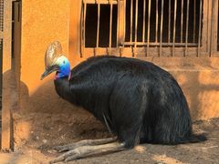 -昆明动物园