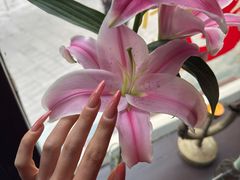 -花马天堂云南餐厅 Lost Heaven(外滩店)